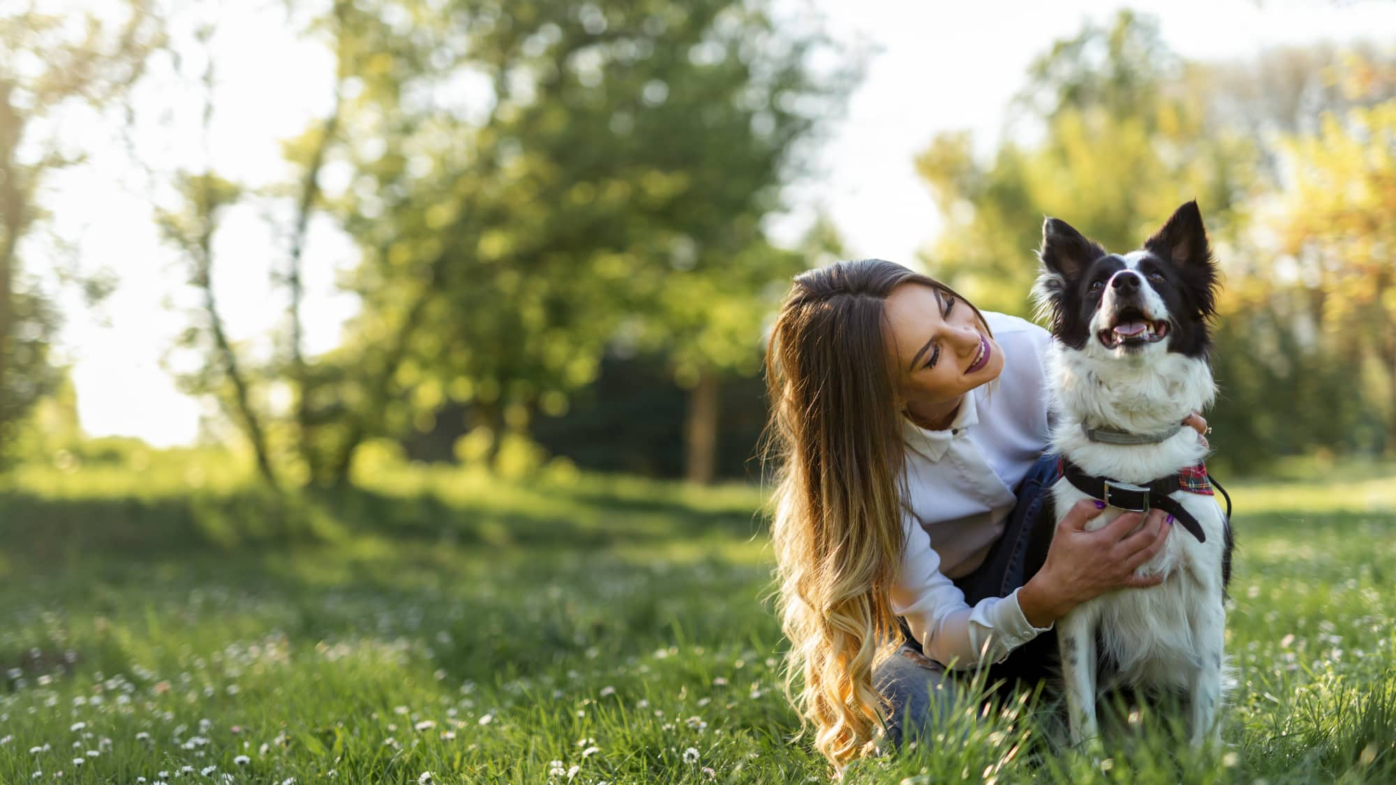 woman kneeling and petting her border collie dog in a park