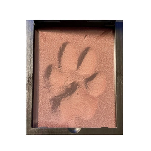 A detailed impression of a paw print set in textured, reddish-pink material within a square, dark keepsake frame.